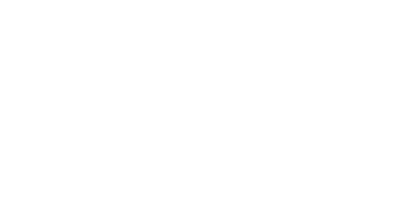 brian-alan-delaney-lowercase-title